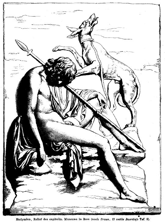 Endymion and dog
