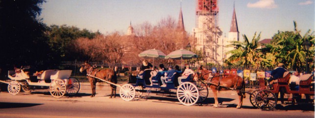 New Orleans carriages