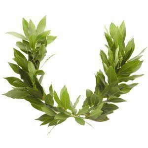 Laurel wreath