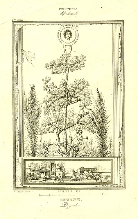 Engraving of a Dryad